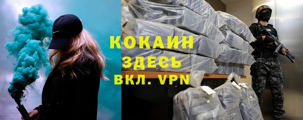 гидра Арсеньев