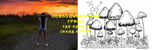 дмт Балахна